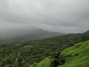 Tikona