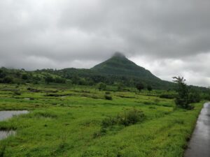 Tikona