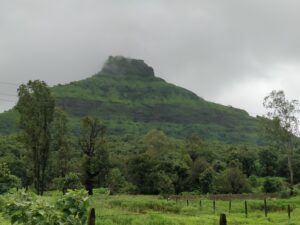 Tikona
