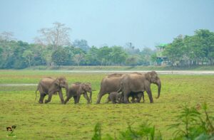 IMG_0839