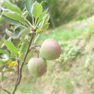 image0